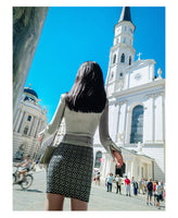 AOOKDRESS spring dress new Korean version of the commuter temperament small skirt wave point knitted step skirt skirt skirt skirt woman