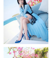 AOOKDRESS summer dress new style elegant temperament sexy fork holiday long skirt long-sleeved chiffon dress 1909