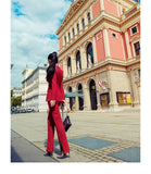 Aookdress spring new professional dress women's pants suit commuting temperament show thin suit coat micro La pants two piece women's suit