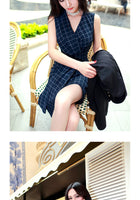 AOOKDRESS spring/summer dress new commuter temperament sexy bag hip sleeveless bottomless vest skirt OL grid dress