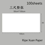 Chinese Rice Paper Thicken Raw Xuan Papers Painting Calligraphy Half Ripe Rice Papers Rijstpapier Carta Di Riso Shoji Paper